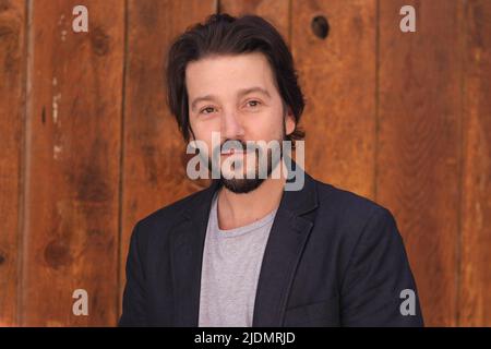 Mexican actor Diego Luna poses during the portrait session in Madrid. (Photo by Atilano Garcia / SOPA Images/Sipa USA) Stock Photo