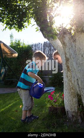 little boy, helper in the garden, watering flowers from a watering can at sunset. Brother and sister spend time outdoors in summer. selective focus. b Stock Photo