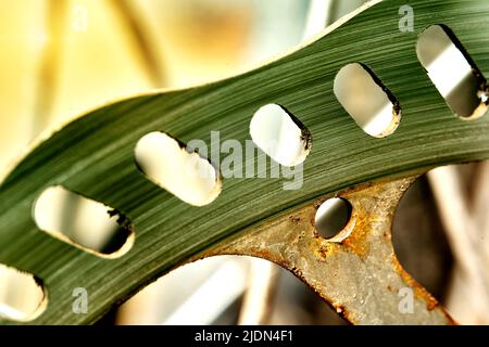 Macro shot of worn disc brake rotor on a bike Stock Photo