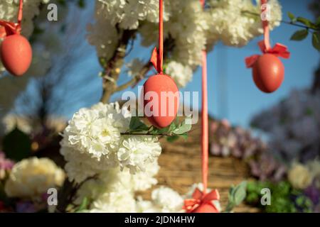 Easter eggs hang from tree. Decoration for holiday. Eggs on ribbons hang from tree. Spring background. Stock Photo