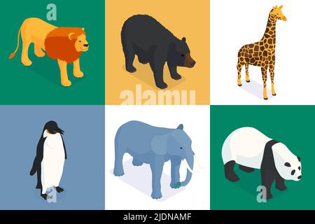 Isometric zoo design concept with set of square compositions of exotic animals on colourful solid background vector illustration Stock Vector