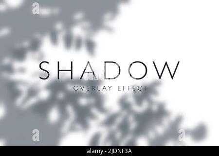 Realistic background with overlay effect and dark shadows from tree branches and leaves vector illustration Stock Vector