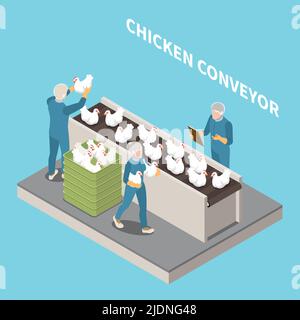 Chicken conveyor blue background with staff inspecting poultry for culling and keeping records isometric vector illustration Stock Vector