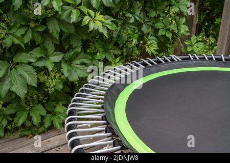 detail of mini trampoline for fitness exercising and rebounding in a backyard patio with vine foliage Stock Photo