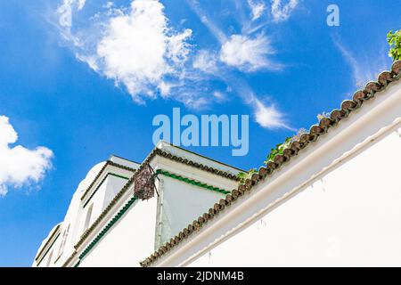 The entrance into the Restaurant The Mosque of Paris. Great Mosque of Paris Stock Photo