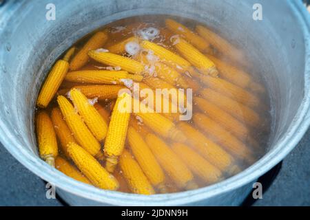 A lot of corn cobs are cooked in a large saucepan. Street food and fastfood concept Stock Photo