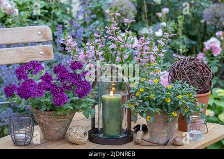 summer garden decoration with flowers in terracotta pots and lantern Stock Photo