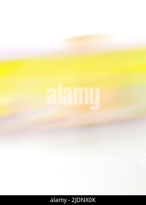 Art gallery  blur abstract  backdrop. Abstract blur contemporary art gallery background. Stock Photo