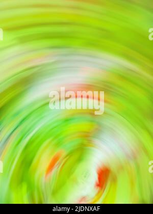 Abstract green light trail vortex. Lights moving in circular green pattern. Stock Photo