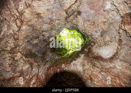 Lava tubes on the island of Maui, Hawaii Stock Photo - Alamy