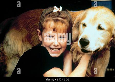 LAUREN,SHADOW, HOMEWARD BOUND: THE INCREDIBLE JOURNEY, 1993 Stock Photo