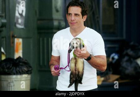 BEN STILLER WITH FERRET, ALONG CAME POLLY, 2004 Stock Photo