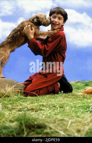 HUBBLE,AIKEN, GOOD BOY!, 2003 Stock Photo