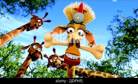 MELMAN, MADAGASCAR: ESCAPE 2 AFRICA, 2008, Stock Photo