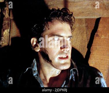 BRUCE CAMPBELL, THE EVIL DEAD, 1981 Stock Photo - Alamy