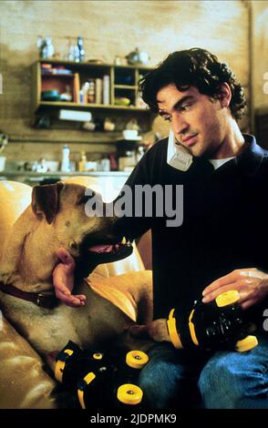 CHAPLIN,DOG, THE TRUTH ABOUT CATS AND DOGS, 1996 Stock Photo