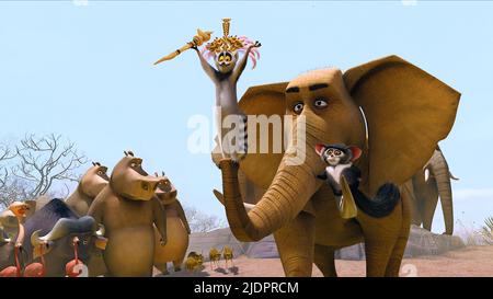 JULIEN,MAURICE, MADAGASCAR: ESCAPE 2 AFRICA, 2008, Stock Photo