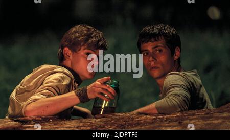 BRODIE-SANGSTER,O'BRIEN, THE MAZE RUNNER, 2014, Stock Photo