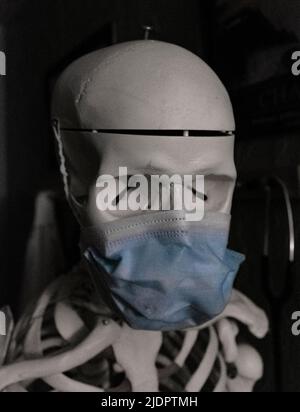 skull/skeleton with medical mask on Stock Photo