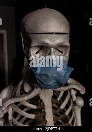 skull/skeleton with medical mask on Stock Photo