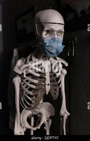 skull/skeleton with medical mask on Stock Photo