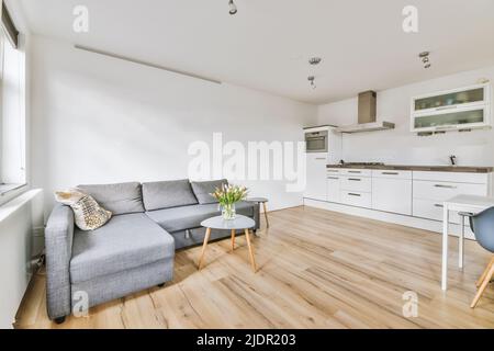 Simple open plan kitchen with white cabinets and living room with gray sofa in daylight Stock Photo