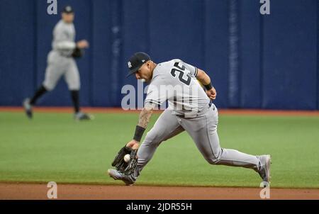 St Petersburg, United States. 22nd June, 2022. New York Yankees second baseman Gleyber Torres (25) blows a bubble while fielding a ground ball hit by Tampa Bay Rays' Viadal Brujan during the ninth inning at Tropicana Field in St. Petersburg, Florida on Wednesday, June 22, 2022. Photo by Steve Nesius/UPI Credit: UPI/Alamy Live News Stock Photo