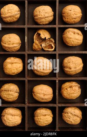 box with compartments filled with walnuts, one broken Stock Photo