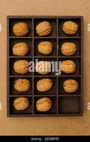 box with compartments filled with walnuts, one missing Stock Photo