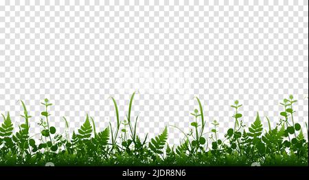 Vector bright green realistic seamless grass border isolated background. Vector illustration Stock Vector