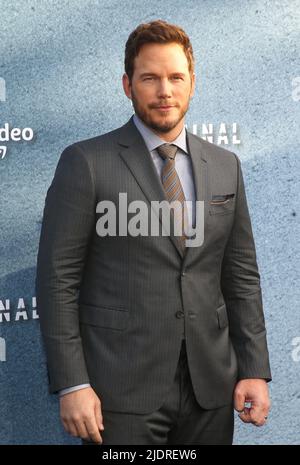 LOS ANGELES, CA - JUNE 22: Chris Pratt attends The Terminal List Los  Angeles premiere at DGA Theater Complex on June 22, 2022 in Los Angeles,  Califo Stock Photo - Alamy