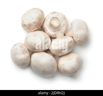 Top view of common button mushrooms isolated on white Stock Photo