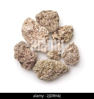 Top view of limestones with fossils embedded on surface isolated on white Stock Photo