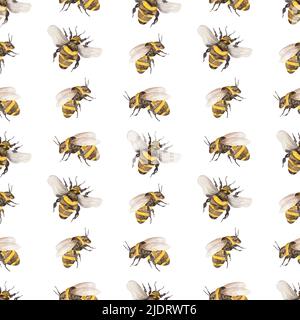 Watercolor seamless pattern with cute bees and chamomile flowers on a ...