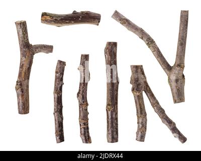 Set of macro dried tree branches isolated on white background Stock Photo