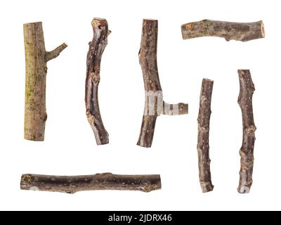 Dry Wood Stick Isolated White Background Stock Photo by