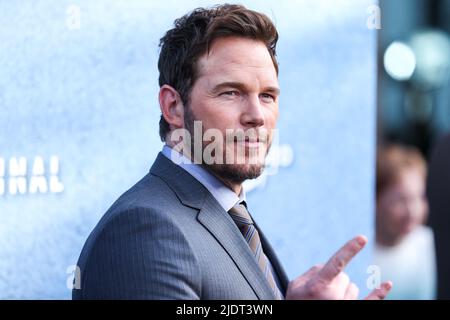 22 June 2022 - Los Angeles, California - Chris Pratt. ''The Terminal List''  Los Angeles Premiere. (Credit Image: © Billy Bennight/AdMedia via ZUMA  Press Wire Stock Photo - Alamy