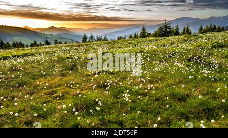Sunrise from Prislop Pass, Maramures Mountains Nature Park, Carpathians, Romania. Stock Photo
