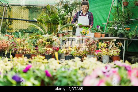 Mature woman using tablet computer inside greenhouse garden - Nursery and spring concept - Focus on face Stock Photo