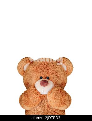 Cute teddy bear isolated on white background. Stock Photo