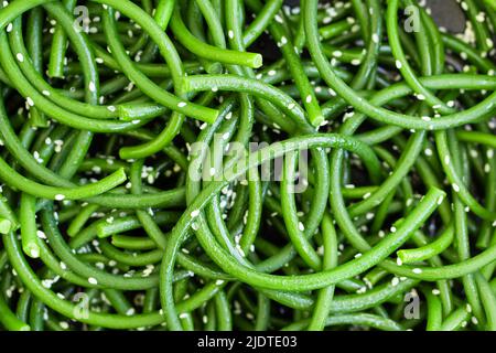 Fresh Green Garlic Arrows With Sesame Seeds Close-up. Asian Cusine 