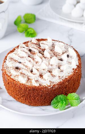 Perfect homemade tiramisu cake sprinkled with cocoa powder on plate  Stock Photo