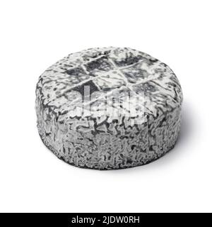 Whole Chevre Anjou, goat cheese, with a black ash mold isolated on white background close up Stock Photo