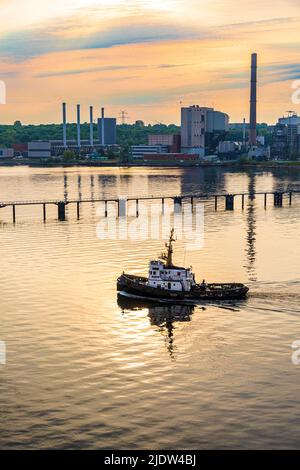 The tug 'Walross' in the Kiel Fjord at dawn, Kiel, Schleswig-Holstein, Germany Stock Photo