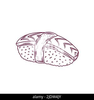Anago sushi sketch. Japanese traditional food icon. Isolated hand drawn vector illustration. Stock Vector