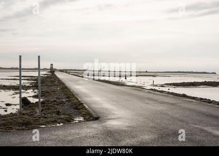 Causeway from mainland to Lindisfarne (Holy Island) Northumberland, England, at low tide. Stock Photo