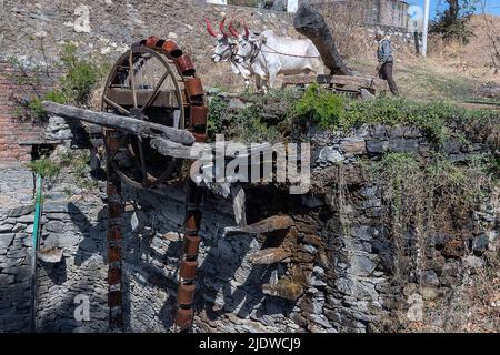 Old and traditional persian wather wheel (sakia) from Tarpal, Rajasthan, India. Stock Photo