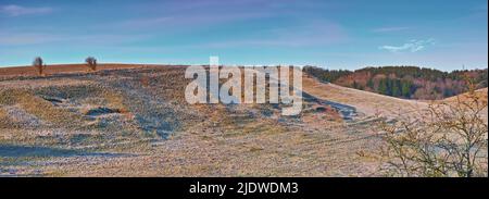 Barren desert hills with trees. Empty sandy mountain landscape with a pine forest in the background. Serene nature scene with no people. Lifeless Stock Photo