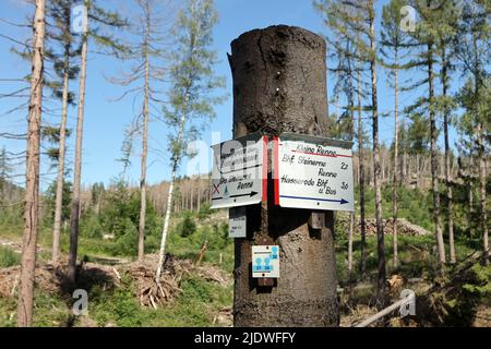 romantic-hiking-trails-in-the-harz-selketal-stieg-stock-photo-alamy