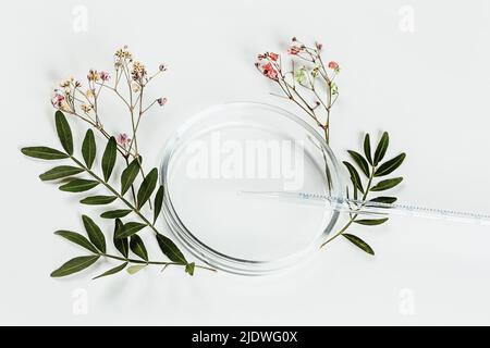 Abstract natural cosmetic laboratory. Eco bio concept for health care. Top view, flat style, space for product or text Stock Photo